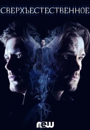 Сверхъестественное 14 сезон